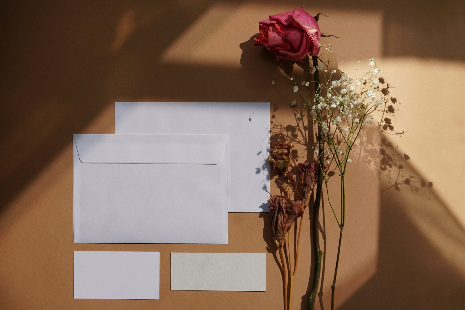 pongracz noemi v4l1tyd1zy8 unsplash